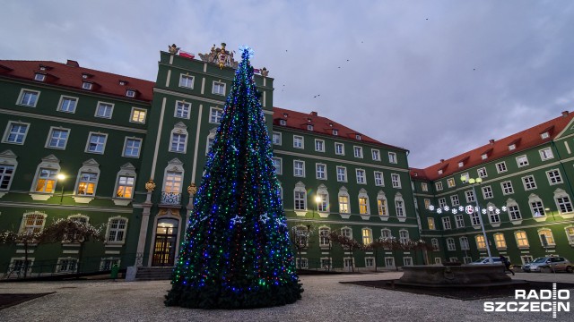 Święta czuć już nie tylko w centrach handlowych. Pierwsza szczecińska choinka stanęła przed Urzędem Miasta.