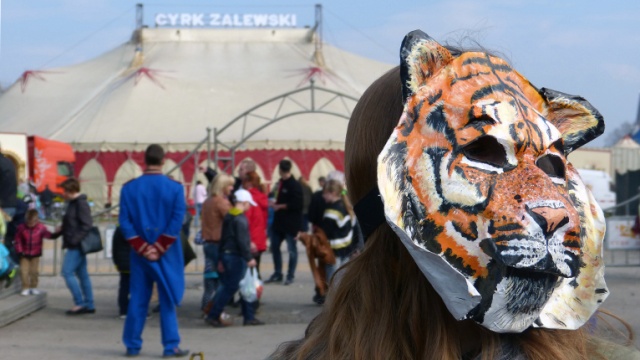Władze Kołobrzegu rozważają wprowadzenie zakazu występów cyrków, w których występują zwierzęta. Pod internetową petycją w tej sprawie podpisało się blisko tysiąc osób.