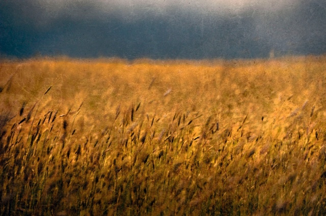 Zdjęcia Tomka Sikory, jednego z najbardziej znanych i cenionych polskich artystów fotografików, można oglądać w Filharmonii Szczecińskiej. Wernisaż wystawy Cztery pory roku odbył się w środę wieczorem.