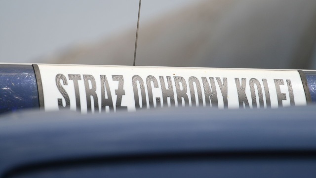 Więcej mundurowych na dworcach - kolej przed świętami chce w ten sposób zadbać o bezpieczeństwo podróżnych.