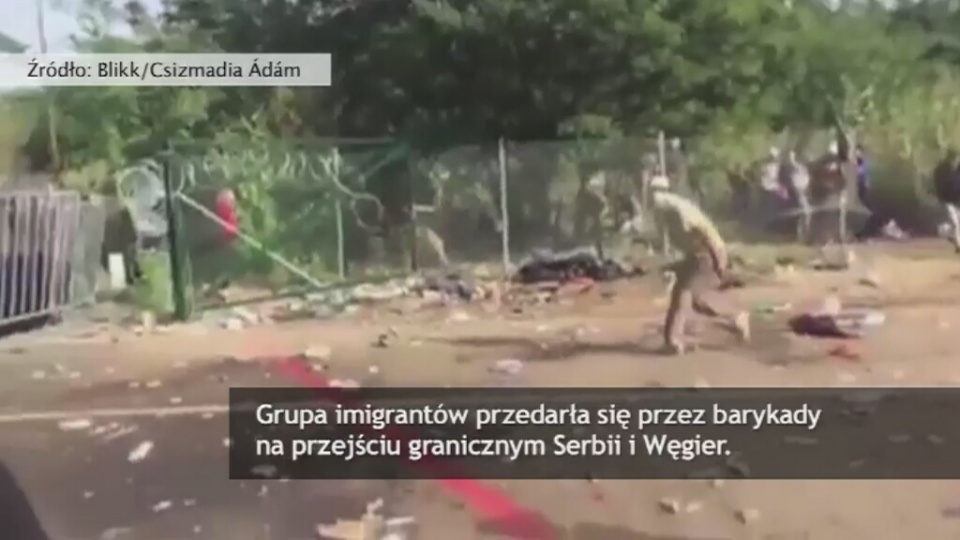 Fot. STORYFUL/x-news