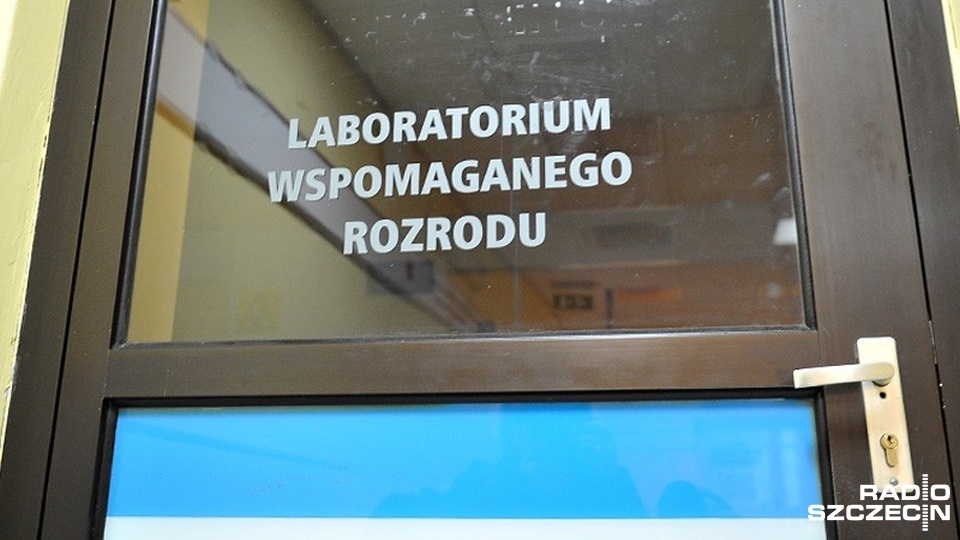 Tylko w Szczecinie z obecnego programu in vitro korzysta 666 par. Fot. Łukasz Szełemej [Radio Szczecin/Archiwum]