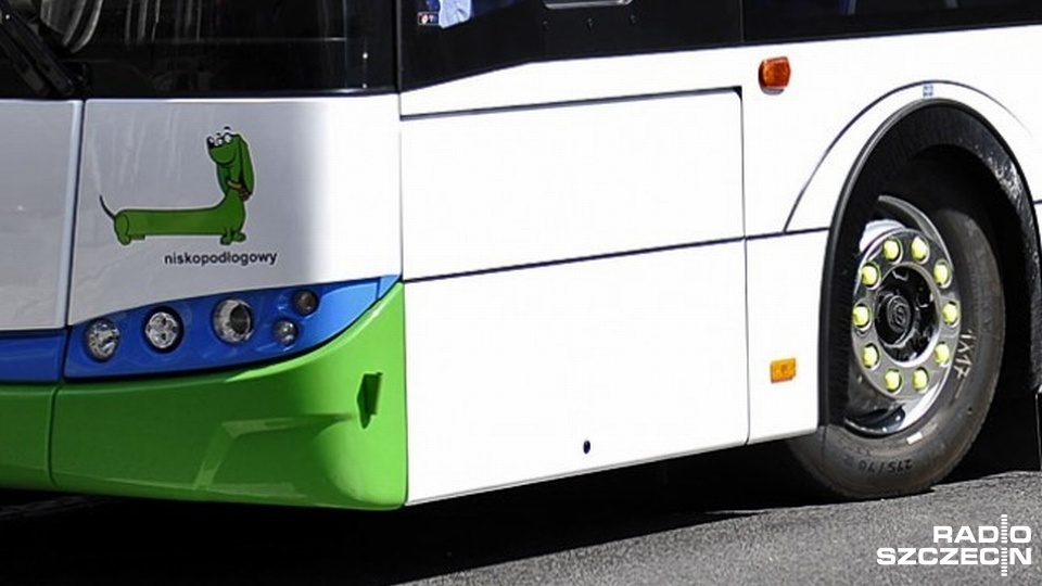 Dwa autobusy szczecińskiej komunikacji miejskiej linii 81 i 70 zderzyły się w Kołbaskowie w kierunku Pargowa. Do stłuczki doszło w poniedziałek przed godziną 15.
