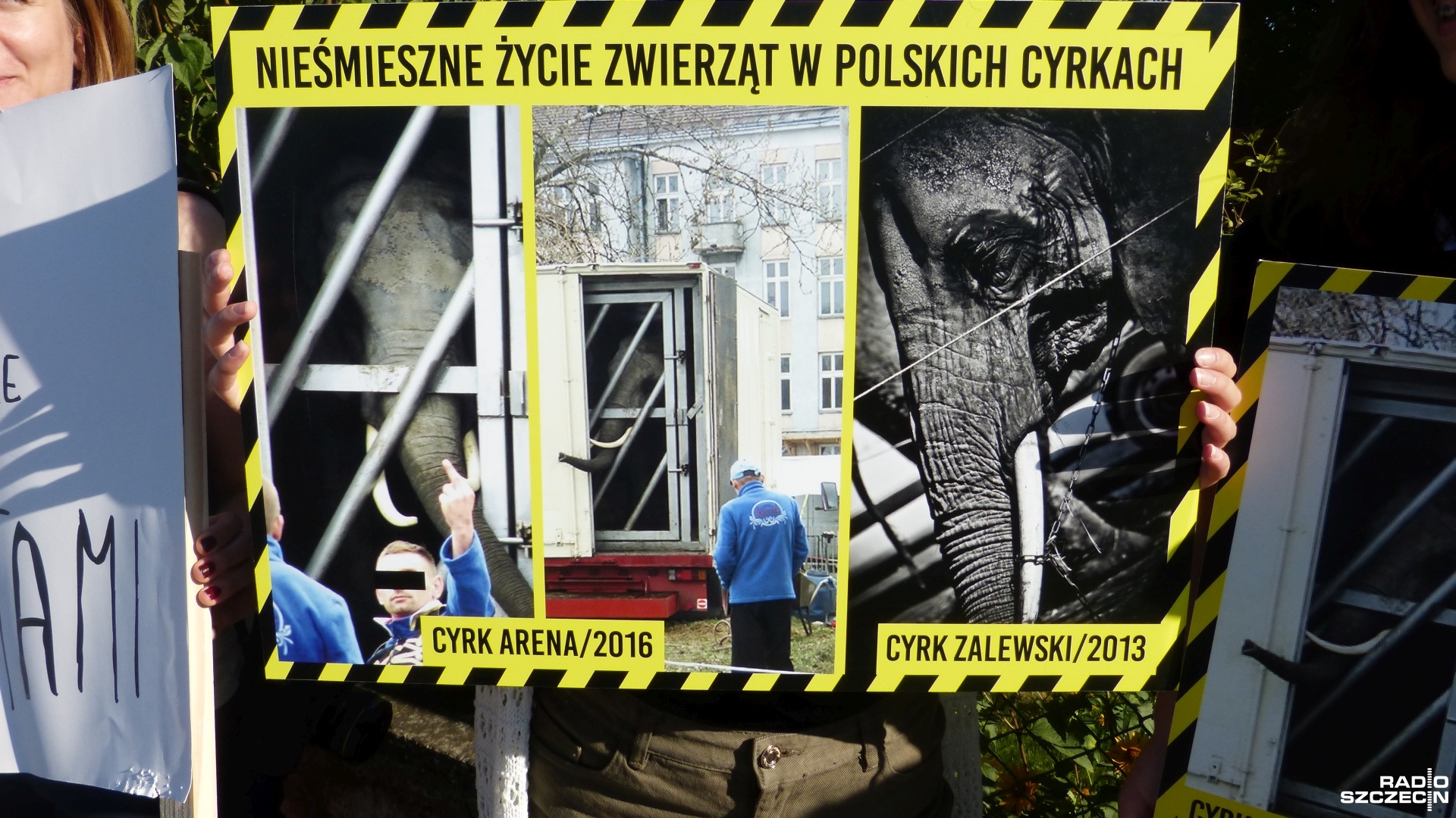 Naczelny Sąd Administracyjny uznał, że miasto Poznań może zakazać występów cyrkowych na swoich gruntach. Sąd oddalił tym samym skargę przedsiębiorców tej branży na decyzję prezydenta.