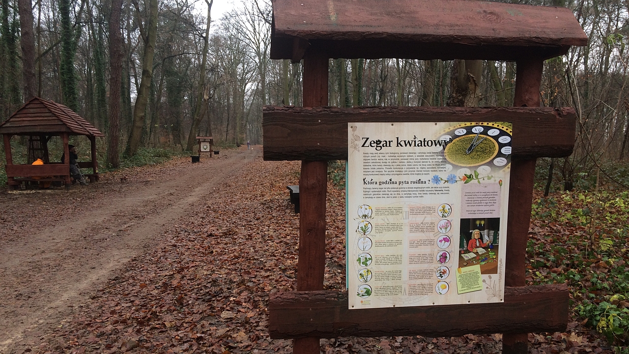Plac zabaw i siłownia pod chmurką w Parku Leśnym Klęskowo zostaną odnowione. W tej chwili trwa przegląd wszystkich placów zabaw w Szczecinie.
