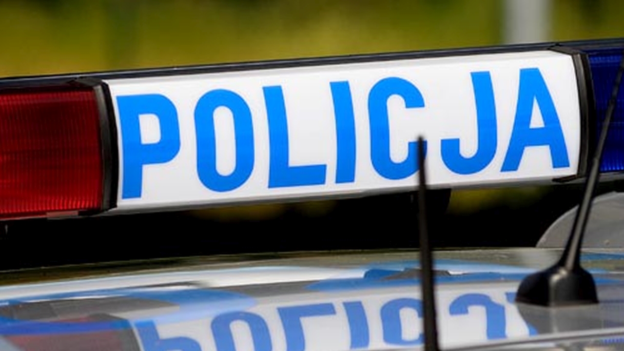 Na drodze wojewódzkiej nr 167, w okolicy miejscowości Sadkowo, dachował samochód.