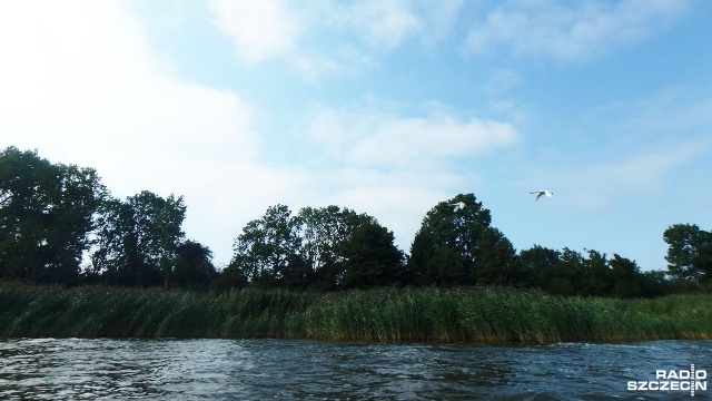 Spływ z Olkiem Dobą w Marinie w Kamieniu Pomorskim. Fot. Radio Szczecin Rodzinny spływ z Olkiem Dobą dla słuchaczy [WIDEO, DUŻO ZDJĘĆ]