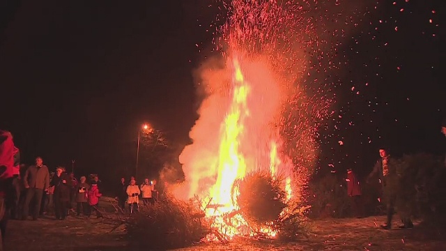 Siódme już nocne palenie choinek w Policach. Jak zawsze akcja cieszyła się powodzeniem.