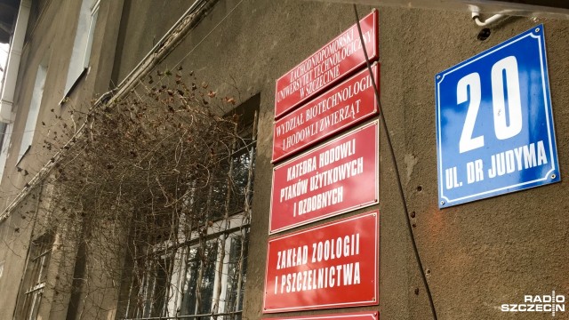 Od maja na Zachodniopomorskim Uniwersytecie Technologicznym rusza nabór na nowe studia inżynierskie - kynologię, czyli chów, hodowlę i użytkowanie psów. To będzie pierwszy taki kierunek w kraju.