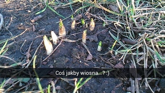 Ferie zimowe na półmetku, choć w sobotę ich nazwa nie do końca pasuje do pogody.