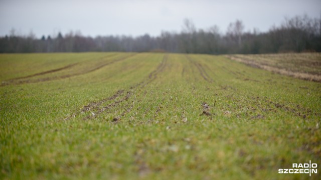To ma być recepta na wyłudzanie dopłat do upraw. Gotowy jest projekt ustawy, który ma wyeliminować tzw. bezumownych użytkowników ziemi.