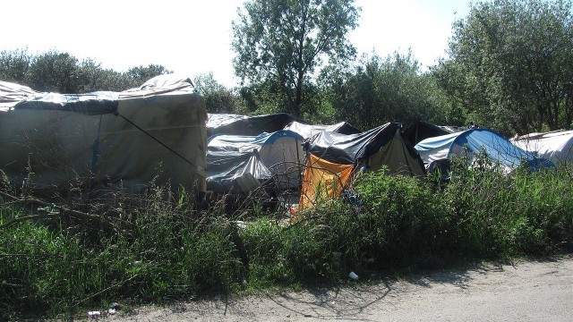 Rozpoczęła się likwidacja dżungli, czyli części miasteczka migrantów pod Calais.