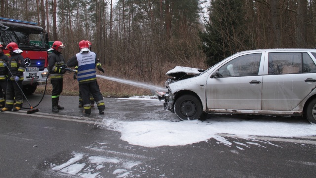 Kierowca samochodu osobowego na drodze wojewódzkiej 103 uderzył w tył autobusu PKS.