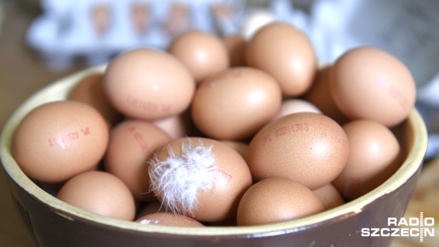 Świąteczny stół pełen jest smakołyków, ale podstawowym daniem są oczywiście jaja. Najpopularniejsze są te pochodzące od kur. Coraz większym powodzeniem cieszą się też jaja przepiórcze, kacze czy gęsie.