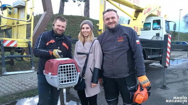 Nasi słuchacze Paweł i Darek uratowali przerażonego kota, który utknął na drzewie 15 metrów nad ziemią.