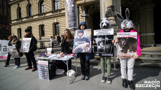 Trwa szczecińskie święto mody i stylu Fashion Expo 2016. Prezentacjom projektantów towarzyszy protest obrońców zwierząt. To nie idea imprezy wzbudza ich sprzeciw, a fakt, że w programie pojawiły się pokazy futer zwierzęcych.