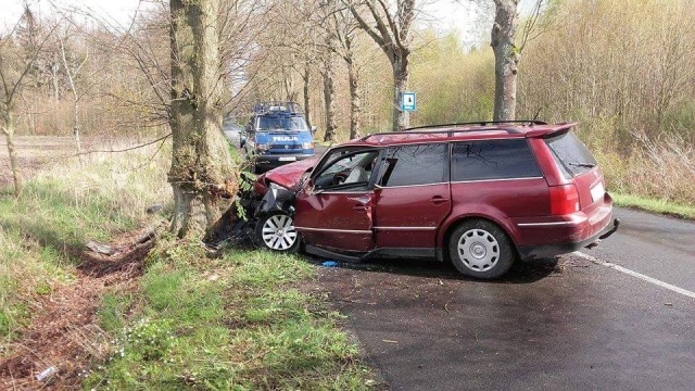 Samochód osobowy zderzył się z sarną na drodze wojewódzkiej nr 102. Do wypadku doszło około godziny 14, na odcinku drogi między Trzebiatowem a Gołańczą Pomorską.