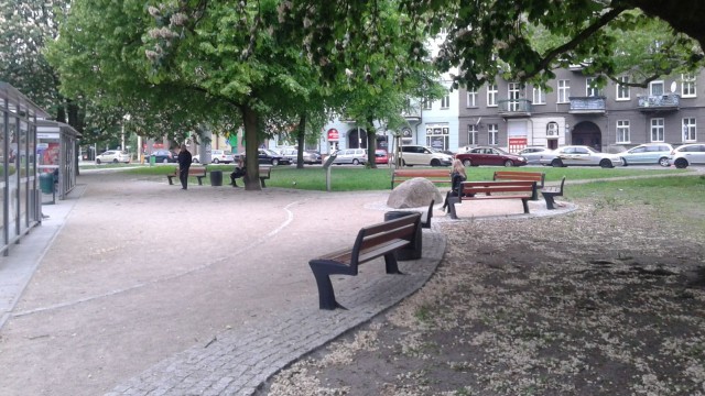 Wybieg dla psów i siłownia pod chmurką powstaną na skwerze Kuklińskiego przy ul. Asnyka na szczecińskim Niebuszewie. Zakład Usług Komunalnych rozstrzygnął właśnie przetarg na kolejny etap przebudowy.