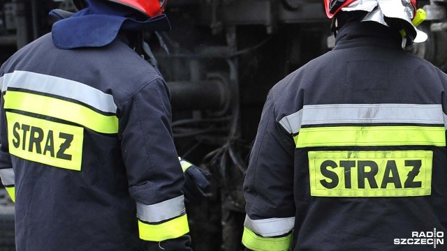 Pół hektara młodego lasu spłonęło w Starej Rudnicy w powiecie gryfińskim. Pożar wybuchł w poniedziałek ok. godz. 15.