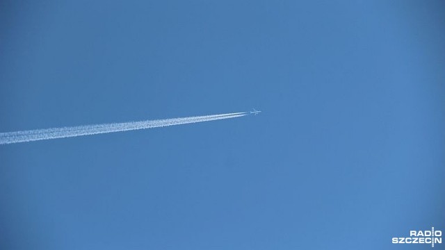 Na pokładzie doszło do eksplozji - tak o ubiegłotygodniowej katastrofie samolotu linii EgyptAir mówią prowadzący śledztwo, którzy zakończyli badania szczątków jednej z ofiar.