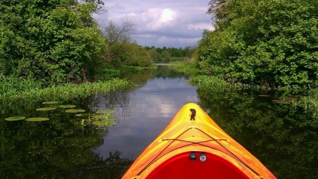 Kanały zarastają, wały niszczeją, a zapowiadana trzy lata temu rewitalizacja Międzyodrza w Szczecinie pozostaje w sferze życzeń. Trzy lata temu wielki remont nie ruszył, bo Komisja Europejska nie zgodziła się sfinansować tej inwestycji. Teraz pojawia się szansa na to, że prace mógłby sfinansować Bank Światowy.