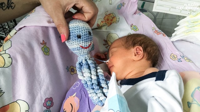 Mają macki przypominające pępowinę, są kolorowe, pluszowe i pachną mamą - ośmiorniczki trafiły do inkubatorów wcześniaków szczecińskiego szpitala na Pomorzanach.