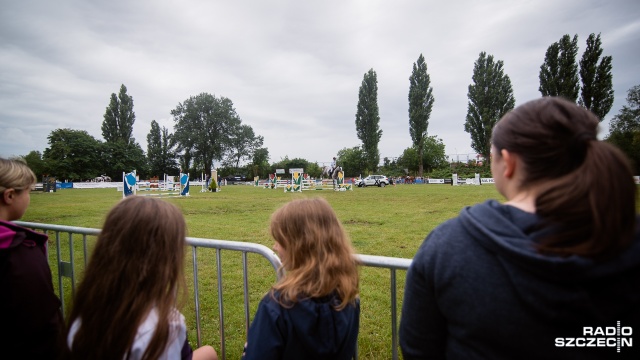 Kilkadziesiąt koni i jeźdźców z całej Polski bierze udział w Sedina Horse Show, czyli zawodach jeździeckich w skokach przez przeszkody, które w sobotę rozpoczęły się w Szczecinie.