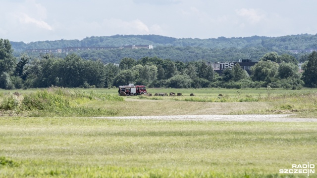 Strażacy ugasili pożar lotniska w Dąbiu. We wtorek po godz. 13 zapaliła się trawa i bele siana. Ogień strawił ok. 300 metrów kwadratowych przy ul. Przestrzennej. Nikomu nic się nie stało.