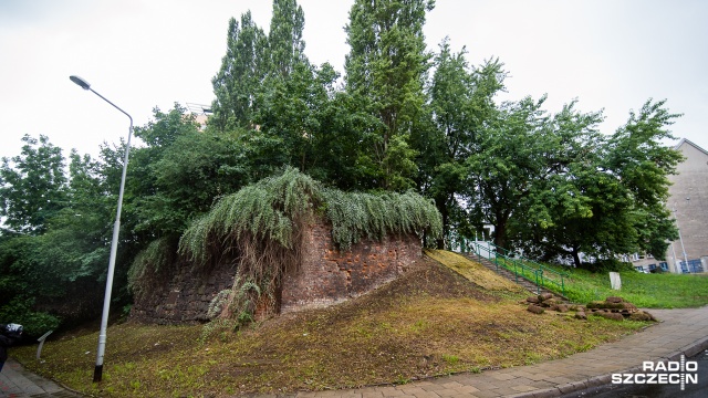 Mur oporowy na ul. Podgórnej w Szczecinie z przełomu XIII i XIV wieku jest w coraz gorszym stanie. Zabytek porasta roślinność, która powoli rozsadza wiekowe cegły.