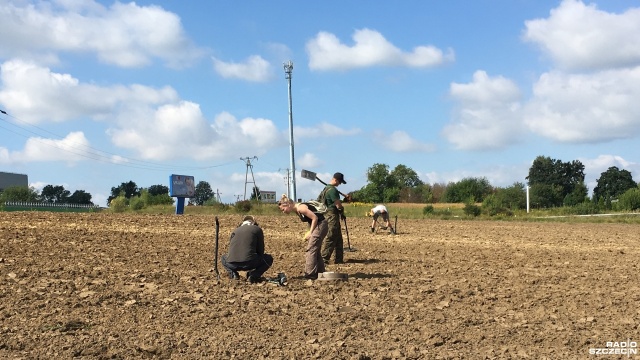 Setki monet znaleźli archeolodzy niedaleko Starego Czarnowa pod Szczecinem. Pieniądze zostały wyorane podczas prac polowych.
