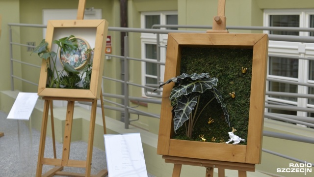 Obrazy z roślin można oglądać na dziedzińcu Muzeum Narodowego przy ul. Staromłyńskiej w Szczecinie. W piątek odbył się tam wernisaż prac florystki Anny Kubiak.