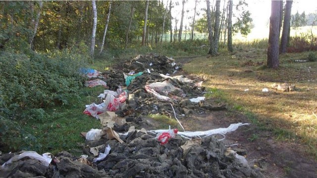 Stertę starej wełny mineralnej odkryli w weekend strażnicy gminni. Dzikie składowisko opadów poremontowych znajduje się przy drodze Dobra - Lubieszyn.