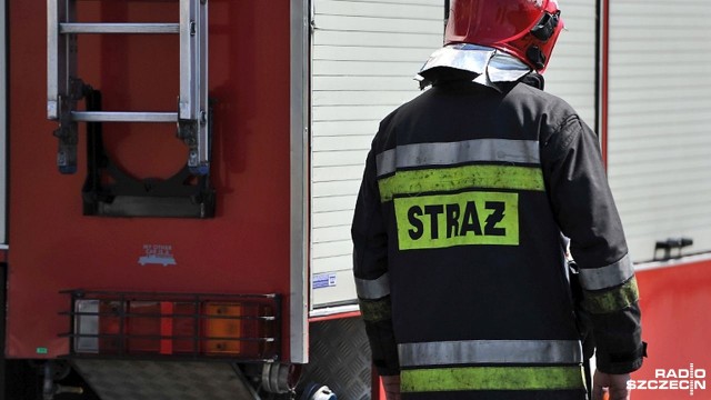 W czwartek do połamanych konarów strażacy wyjeżdżali blisko 50 razy. W nocy siła wiatru spadła.