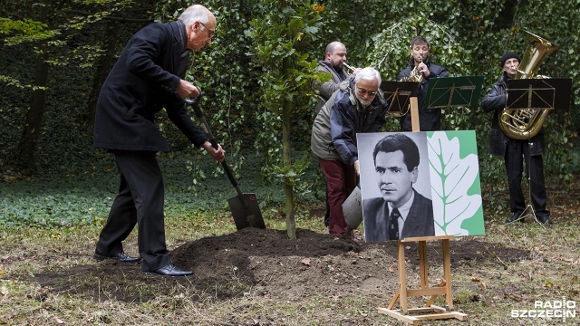 To dęby upamiętniające twórców powojennego Szczecina, którzy zostali pochowani poza miastem.