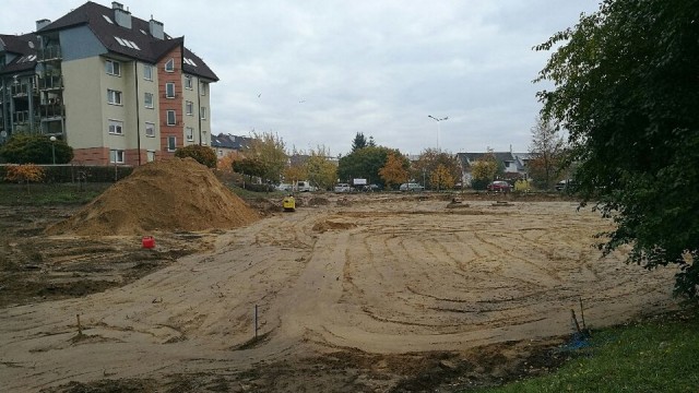 Klony, buki, brzozy, sosny i świerki - w sumie prawie 150 drzew, do tego prawie dwa tysiące krzewów, takich jak berberysy, forsycje czy jałowce - to wszystko pojawi się na prawobrzeżu Szczecina. U zbiegu ulic Andrzejewskiego i Iwaszkiewicza powstaje Park Majowe.