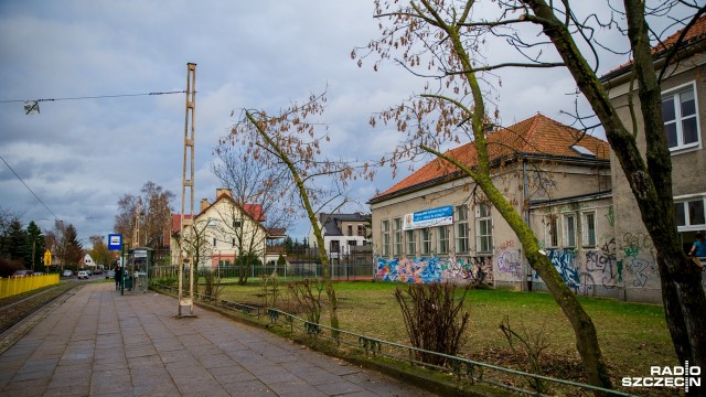 Kilka dni temu dyrekcja liceum ogólnokształcącego przy ulicy Świętej Kingi zdecydowała o wycięciu dwóch topoli, które rosły na terenie szkoły.