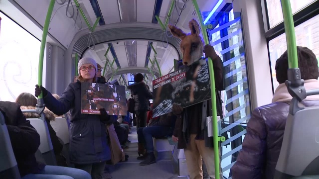 W maskach królików czy lisów jeździli tramwajami i zniechęcali pasażerów do noszenia futer. Puszczali też filmy pokazujące, jak traktowane są zwierzęta w fermach.