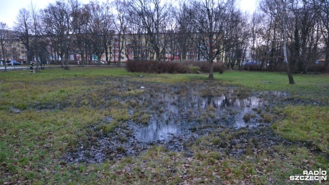 Prezydent Kołobrzegu wyznacza nagrodę finansową za wskazanie sprawcy, który wylał substancję ropopochodną w jednym z miejscowych parków. O zdarzeniu informowaliśmy w ubiegłym tygodniu.