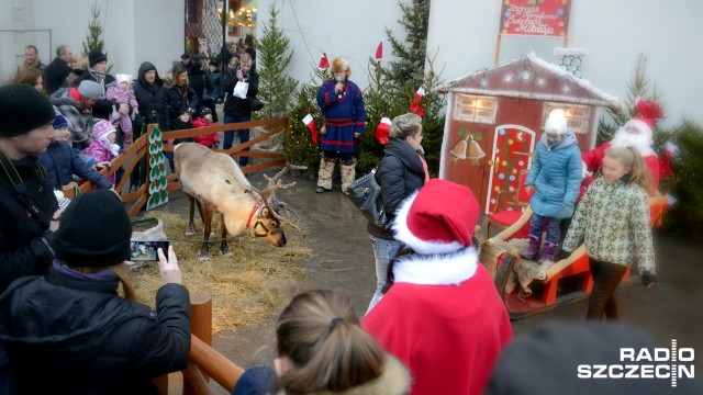 Zagroda z reniferami, stragany z rękodziełem oraz świątecznymi ozdobami i domowymi wypiekami, a także karuzela wenecka - to tylko część atrakcji bożonarodzeniowego jarmarku na Zamku Książąt Pomorskich w Szczecinie. Impreza rozpocznie się w sobotę i potrwa do niedzieli.