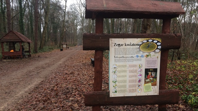 Nowe wiaty i ławki, a dla najmłodszych edukacyjna ścieżka przyrodnicza. Park Leśny Klęskowo zyskał nowy wygląd.