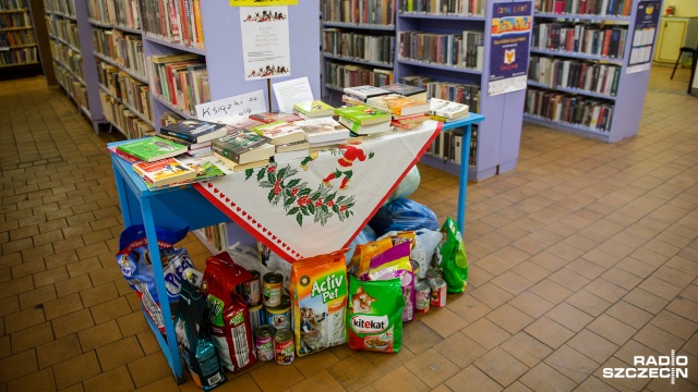 Bibliotekarze w Szczecinie zbierają karmę oraz koce dla psów i kotów ze schroniska dla bezdomnych zwierząt.