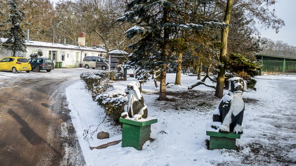 Wybieg dla psów na ul. Chopina lub Dolina Siedmiu Młynów przy Jeziorze Głębokie - to dwie rekomendowane lokalizacje pod budowę schroniska dla bezdomnych zwierząt w Szczecinie. Fot. Jarosław Gaszyński [Radio Szczecin]