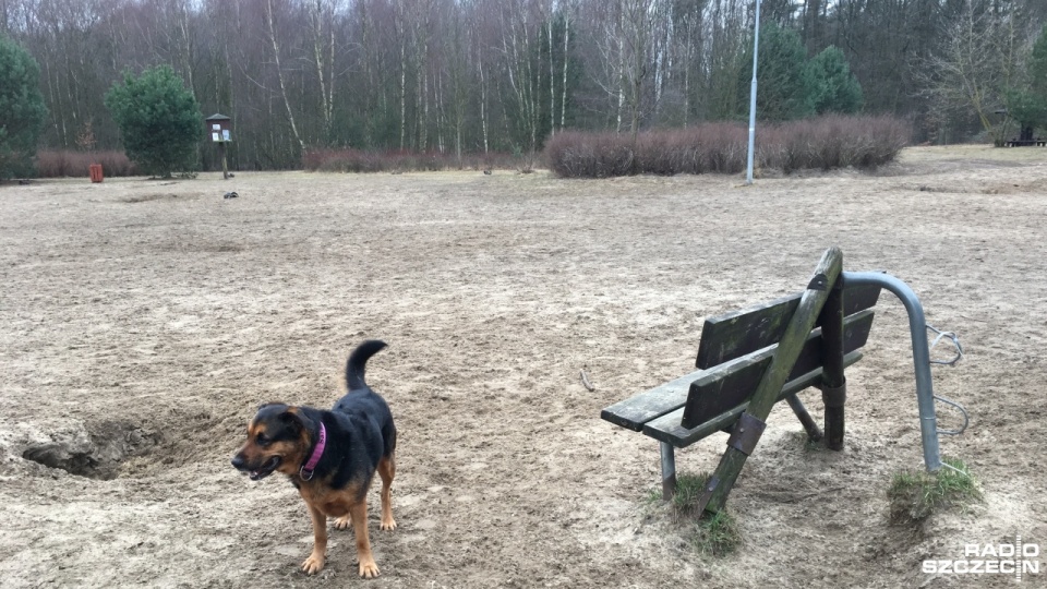 Teraz jest tam wybieg dla psów. Fot. Andrzej Kutys [Radio Szczecin]