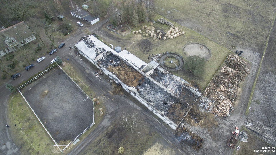 Pożar stadniny pod Szczecinkiem wybuchł w połowie lutego. Fot. Piotr Sawiński [Radio Szczecin/Archiwum]