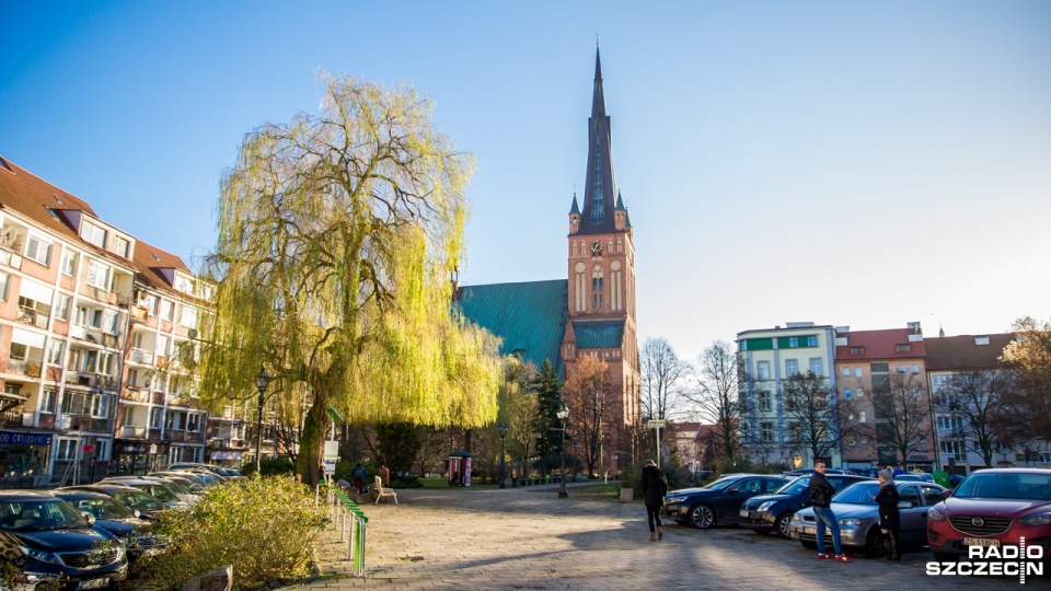 Bezdomna kobieta czwarty rok żyje pod brzozą na pl. Orła Białego. Fot. Olaf Nowicki [Radio Szczecin]