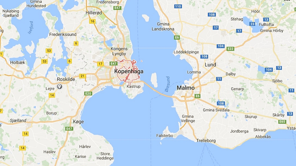 Uzbrojeni żołnierze duńskich sił zbrojnych zastąpią policjantów na granicy z Niemcami oraz na ulicach Kopenhagi. Celem jest odciążenie policjantów od zadań typowo ochroniarskich.