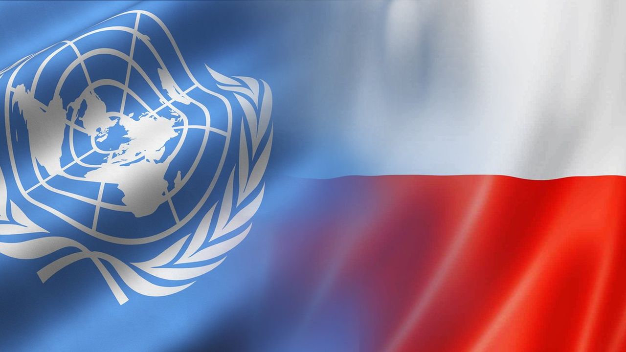 Wybór Polski na niestałego członka Rady Bezpieczeństwa ONZ otwiera nowe możliwości - mówili goście audycji Radio Szczecin na Wieczór. Decyzję w tej sprawie podjęło Zgromadzenie Ogólne Narodów Zjednoczonych.