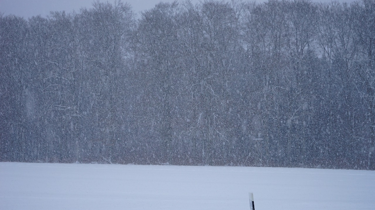Rekordowe mrozy utrzymują się na wschodnim wybrzeżu Stanów Zjednoczonych. Na obszarze zamieszkanym przez miliony Amerykanów odczuwalna temperatura wynosiła w sobotę -30, a nawet -40 stopni Celsjusza. W niektórych miejscach na Północy USA i Kanady jest jeszcze zimniej.