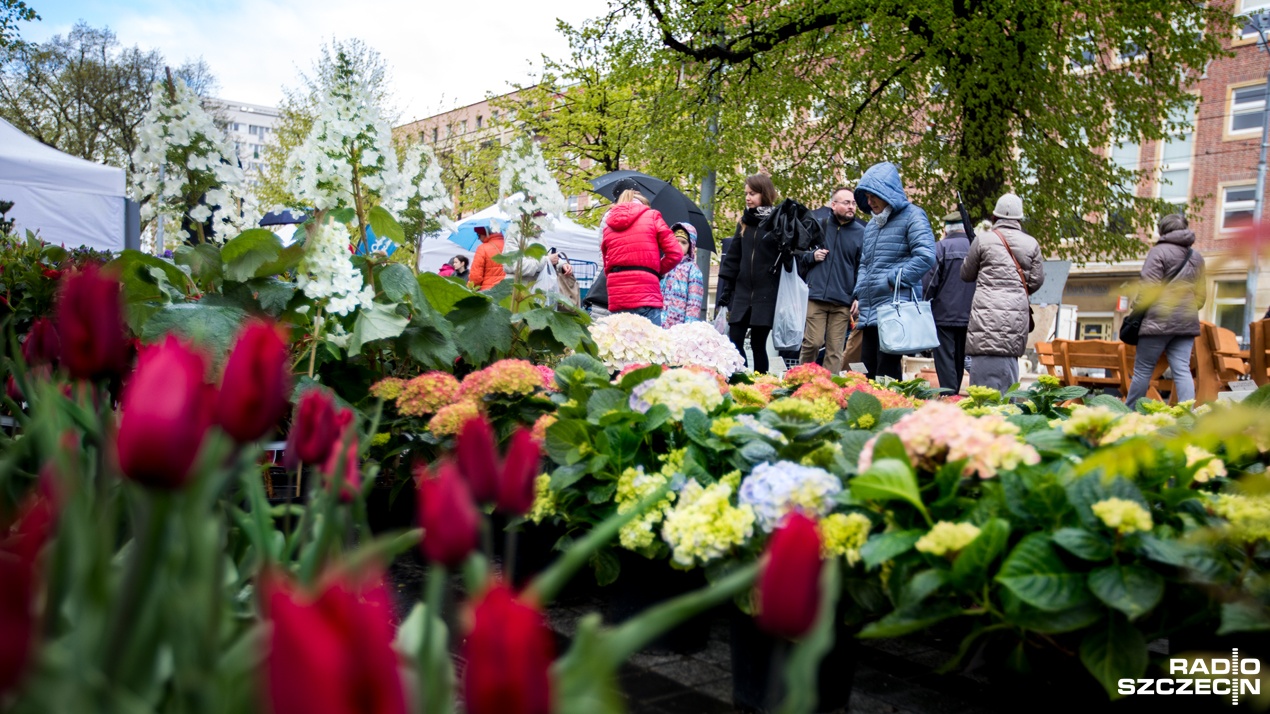 W Alei Kwiatowej znajdziemy wszystko co potrzebne do ogrodu czy działki. Są kwiaty, świeże zioła, meble, a także odbywają się warsztaty z florystyki czy rzeźbiarstwa.