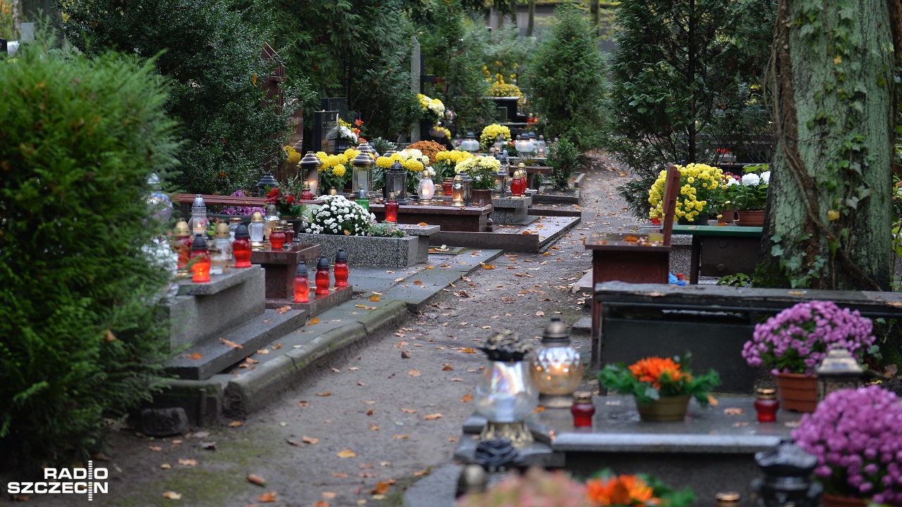 Sprzątanie grobów, poznawanie Cmentarza Centralnego i lekcja historii - to Spacer pamięci, który przed Dniem Wszystkich Świętych i Dniem Zmarłych, zorganizowała dla swoich uczniów podstawówka Primus.